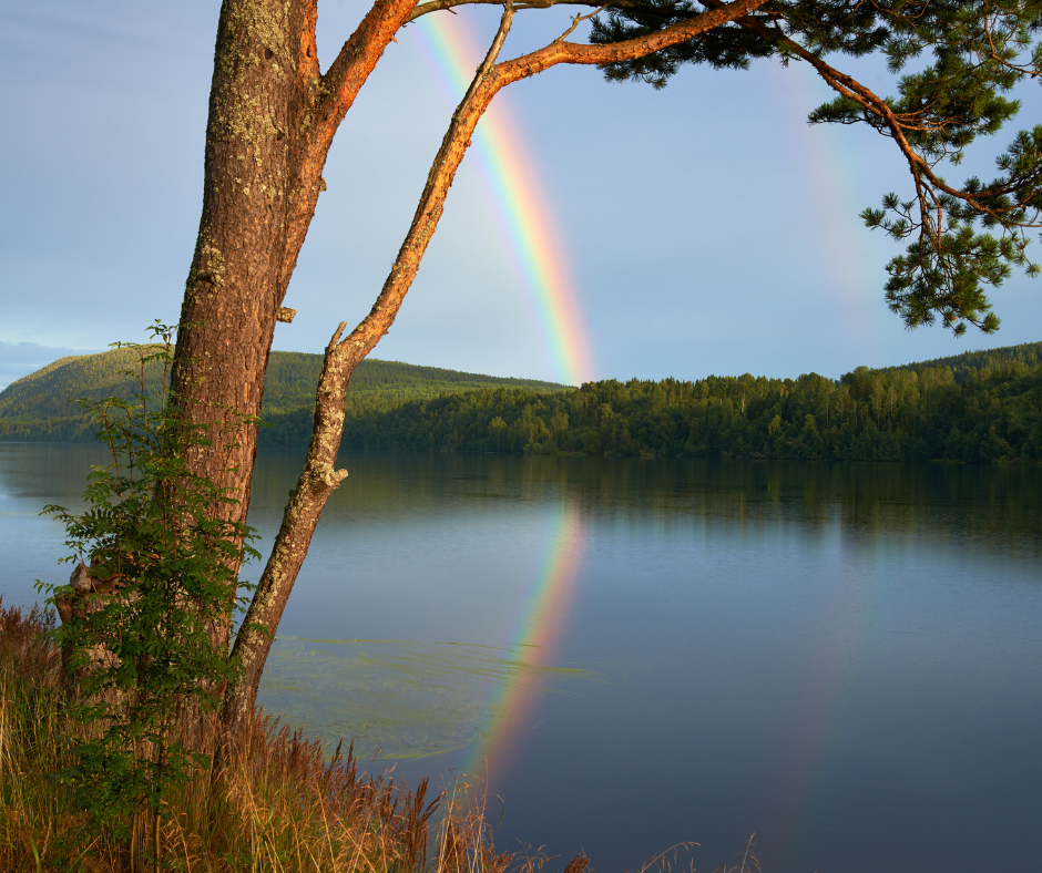 Ein Regenbogen über einem Fluss