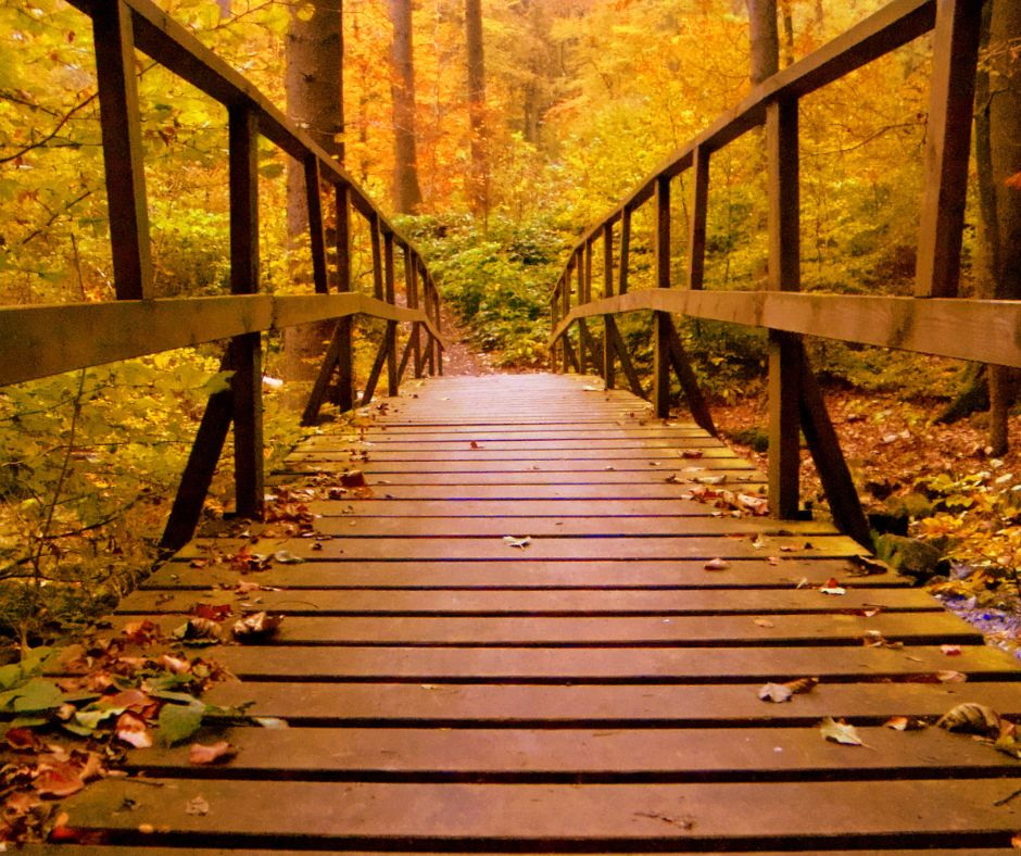 Eine Holzbrücke in einem Herbstwald.